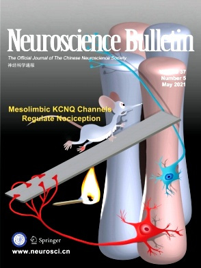 Neuroscience Bulletin雜志封面